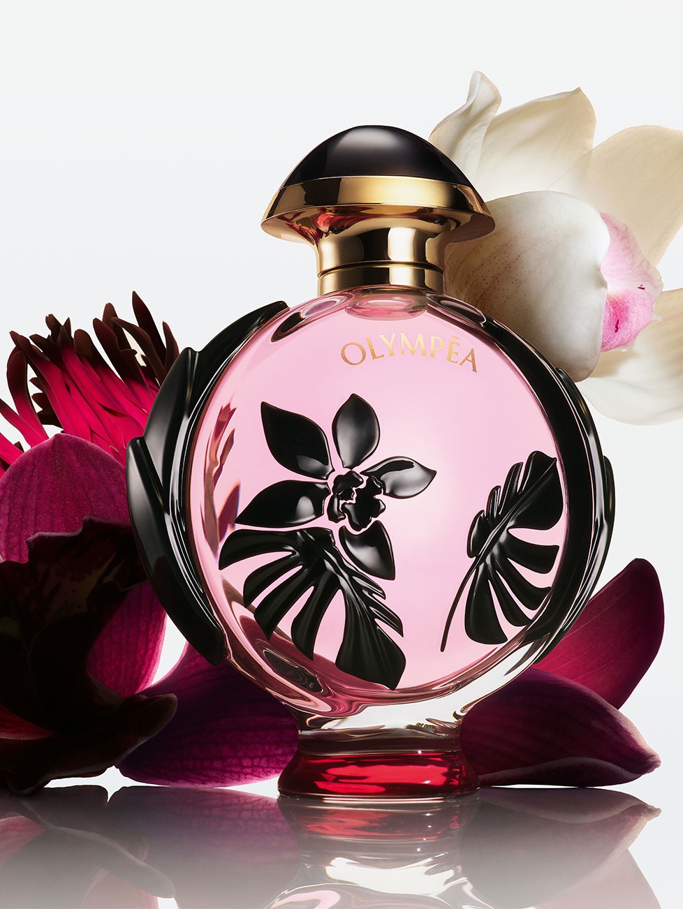 OLYMPÉA FLORA