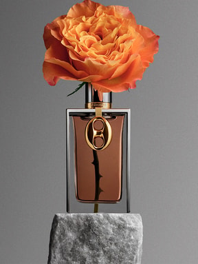 ROSE 1969