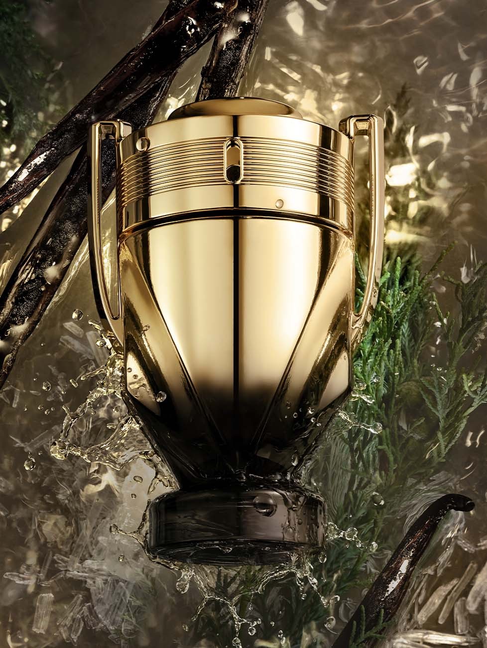 INVICTUS ELIXIR