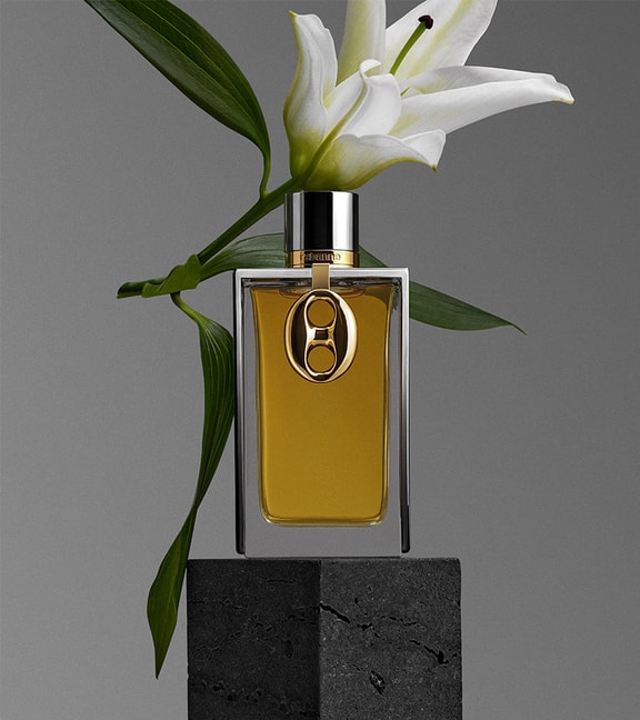 LA COLLECTION RABANNE | Rabanne USA
