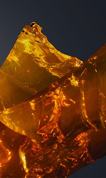 1Million Royal Rabanne