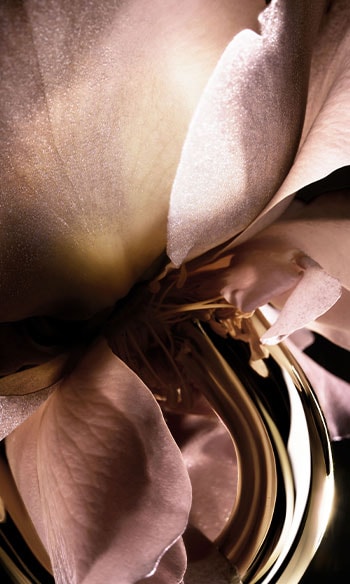 RABANNE / MILLION GOLD FOR HER / ROSE