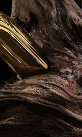 RABANNE / MILLION GOLD / CEDARWOOD
